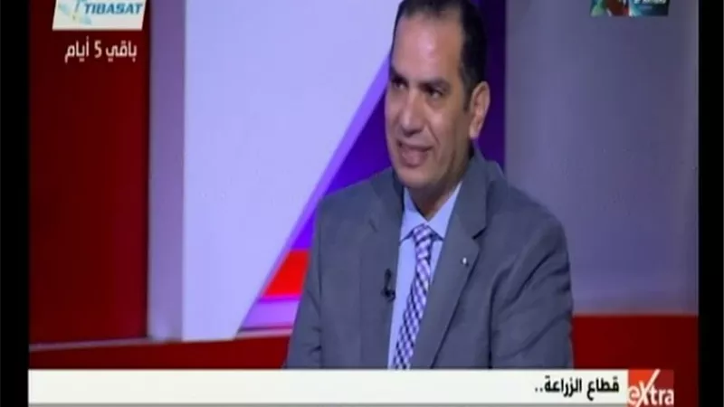 محمد نجم يكشف أسباب تراجع زراعة القطن المصري (فيديو)