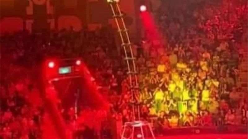 السيرك القومى يحصد ثلاث جوائز بمهرجان 