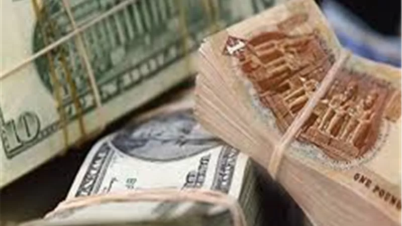 الدولار لايف | سعر صرف الدولار اليوم الخميس 21 نوفمبر 2019