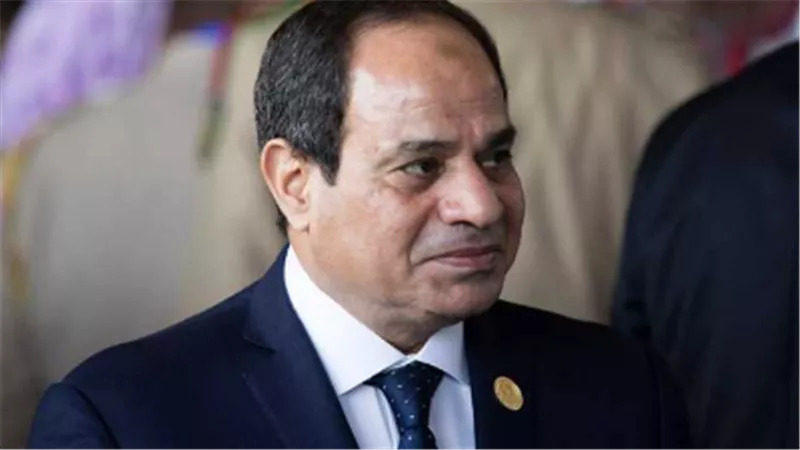 عمر مروان يوجه الشكر للرئيس السيسي.. «جهودك ظهرت خلال عرض ملف حقوق الإنسان بجنيف» (فيديو)
