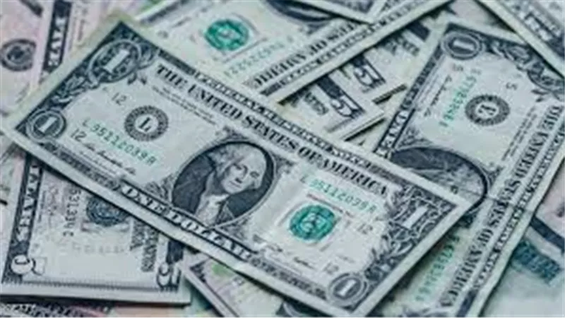 الدولار لايف | سعر صرف الدولار في مصر الاثنين 2 ديسمبر 2019