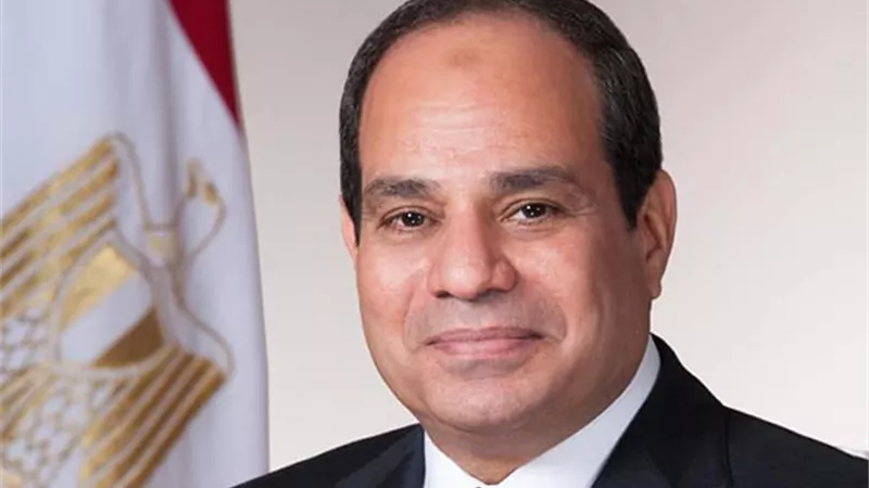 مصريون يهنئون السيسي بعيد ميلاده.. «كل سنة وأنت بتبني.. مصر هتكون أد الدنيا» (فيديو)