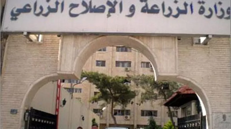 الزراعة: تدريب عدد من الأطباء البيطريين والمهندسين الزراعيين على التحسين الوراثي بالدنمارك (فيديو)