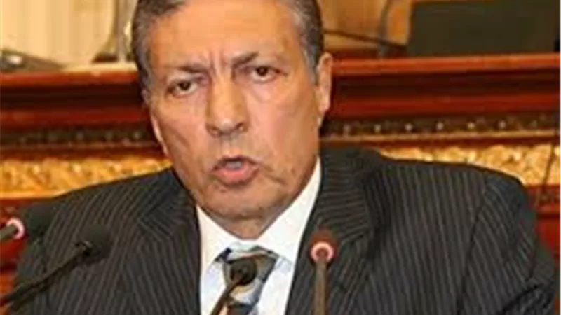 سعد الجمال فى طلب احاطة : اهمال دور قصور الثقافة سبب انضمام الشباب للجماعات الارهابية
