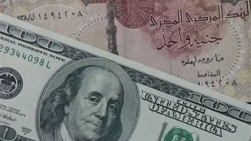 الدولار لايف | اسعار الدولار في مصر اليوم السبت 14 ديسمبر 2019