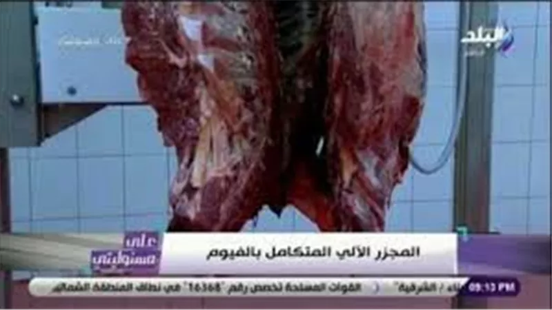 أحمد موسي : انخفاض أسعار اللحوم بعد افتتاح مجمع إنتاج الفيوم | فيديو