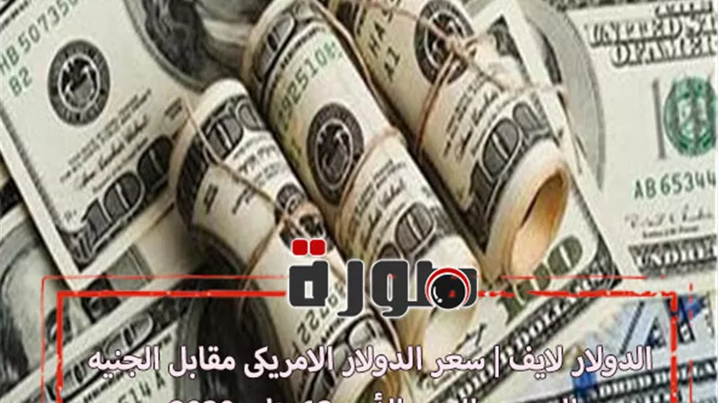 الدولار لايف | سعر الدولار الامريكى مقابل الجنية المصرى اليوم الأحد 12 يناير 2020
