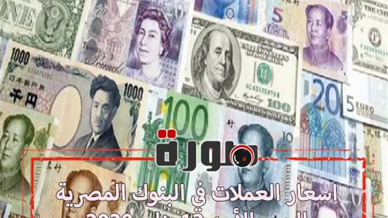 اسعار العملات في البنوك المصرية اليوم الأحد 12 يناير 2020