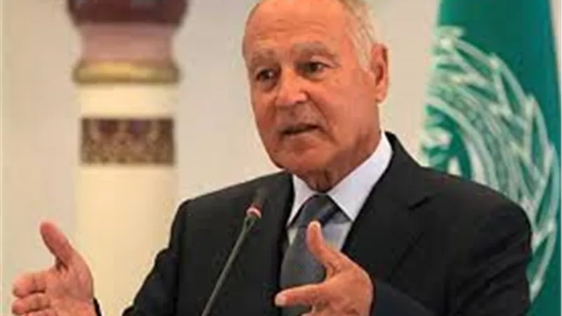 أبو الغيط: التدخلات التركية وراء تدهور أوضاع ليبيا | فيديو