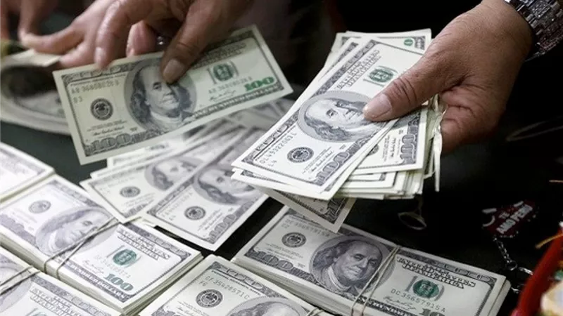 الدولار لايف | سعر الدولار اليوم السبت 25 يناير 2020 