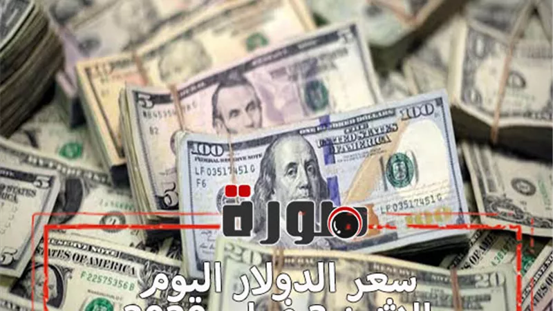 الدولار لايف | سعر الدولار اليوم الاثنين 3 فبراير 2020