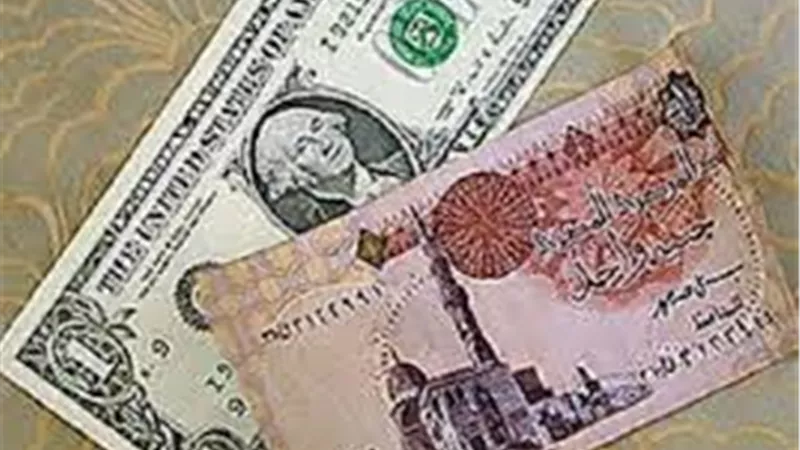 شريف دلاور: الجنيه نجح في استعادة عافيته أمام الدولار | فيديو 