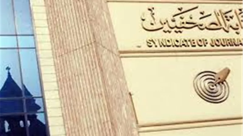 نقابة الصحفيين تعلن تضامنها مع مراسلي صدى البلد بعد اعتداء أنصار هشام بدوي عليهم | فيديو