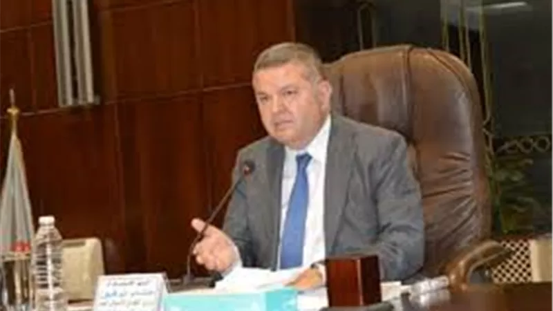 وزير قطاع الأعمال : 28 شركة فى الغزل والنسيج تعاني من الخسائر | فيديو
