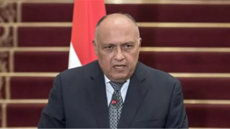 سامح شكري: اتفاق دول القارة الأفريقية على منع التدخلات الأجنبية في ليبيا | فيديو 