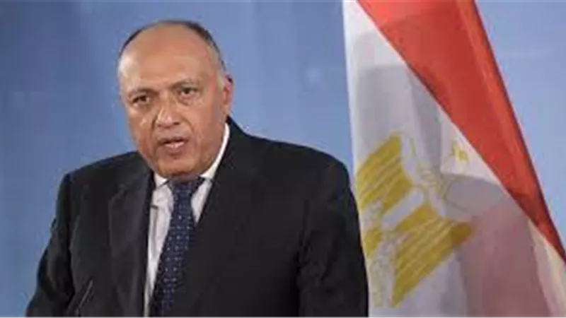 سامح شكري : تقدير وامتنان للرئيس السيسي من دول القارة السمراء | فيديو