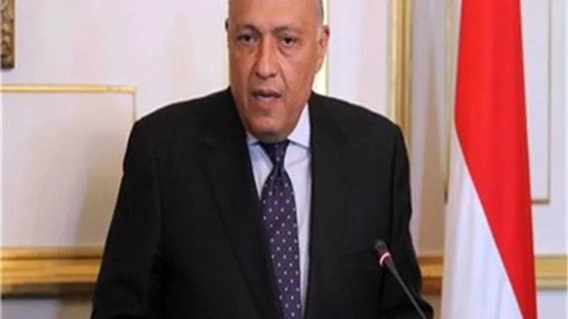محمد الباز: جولة سامح شكرى بالخارج لحل أزمة سد النهضة 