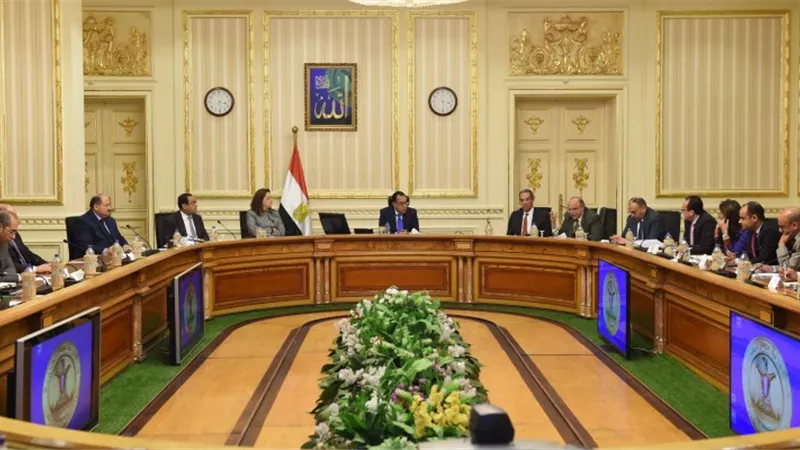 من هجوم الجراد لإلغاء الدراسة ..الوزراء يكشف عن 5 شائعات تم نفيها فى 90 دقيقة | فيديو