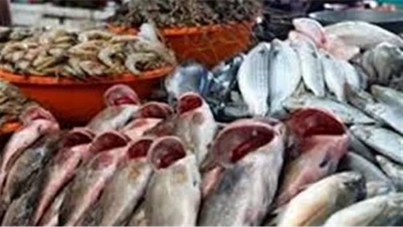 أسعار الاسماك اليوم الاثنين 16 مارس 2020
