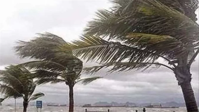تقلبات شديدة.. الأرصاد تحذر من حالة الطقس غدا الأحد 7-12-2025