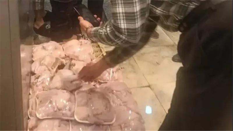 القصة الكاملة.. الدواجن السردة تقلق المصريين