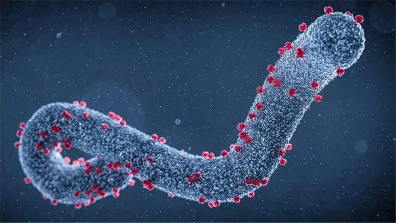 فيروس ماربورج.. الأعراض والوقاية وكيفية الحماية من نزلات البرد المنتشرة 