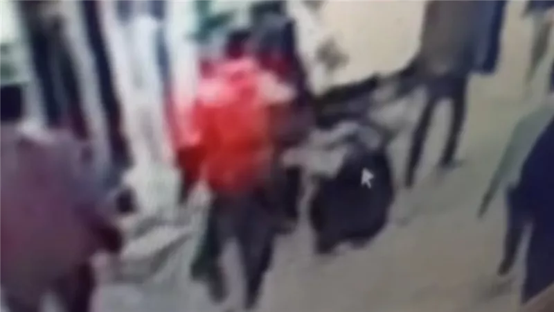 ضربها وسحلها في الشارع.. تفاصيل صادمة عن فيديو السيدة والكلب في شبرا الخيمة