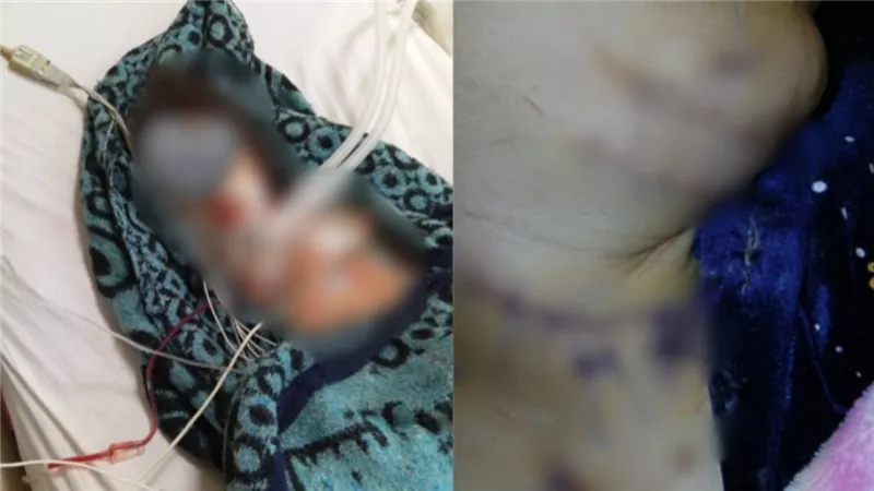  شيطان في ثوب الأخ.. أم وطفلتها في مواجهة الموت بسبب شقيق الزوج ببولاق الدكرور