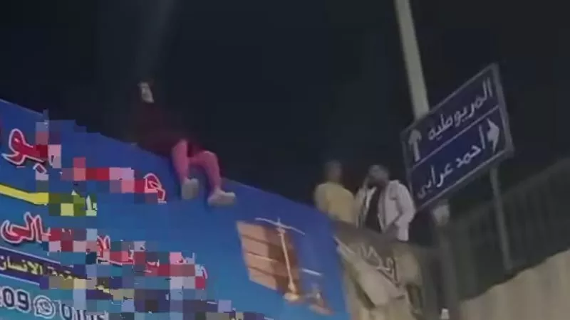 تفاصيل مأساوية..90 ثانية مُرعبة للحظة سقوط سيدة أعلى دائري بشتيل | فيديو