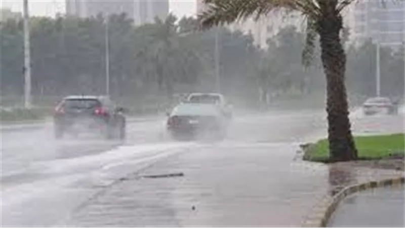 أمطار واضطرابات جوية.. الأرصاد تحذر من حالة الطقس غدا الإثنين 29-12-2025