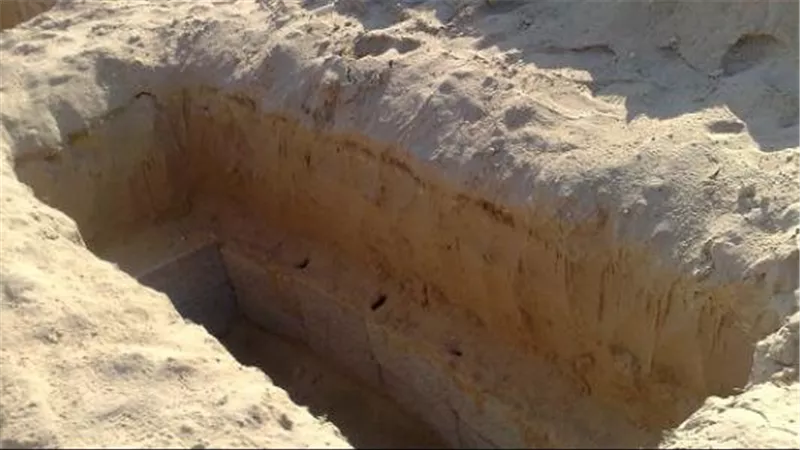 فتحوا القبر لدفن الميت فوجدوا مملكة نحل وعسل.. تفاصيل أغرب جنازة بالمنوفية