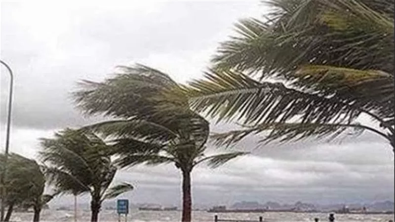 الأرصاد تحذر من تقلبات جوية..حالة الطقس غدا الجمعة 5-12-2025