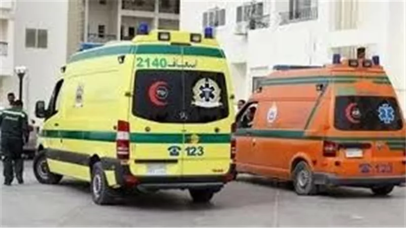 مكنتش في وعيي.. اعترافات صادمة للمتهم بقتل والده وطعن والدته بقنا 