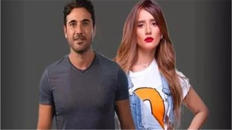  أجر خادمة.. تفاصيل إلزام أحمد عز بدفع 30 ألف جنيه إلى زينة 