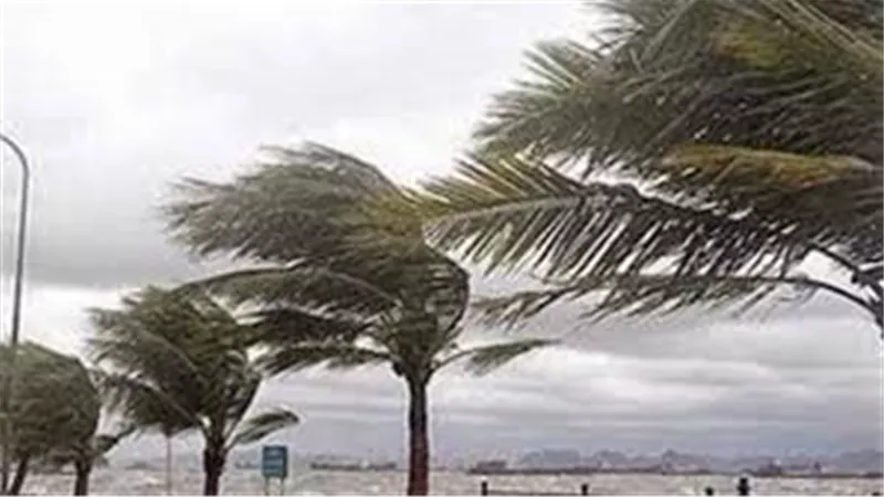 تقلبات جوية.. الأرصاد تحذر من حالة الطقس غدا الإثنين 19-1-2026