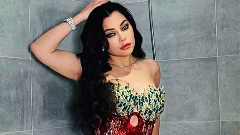 فستان جريء.. هيفاء وهبي تخطف الأنظار بإطلالة جديدة | شاهد