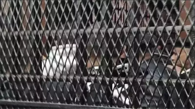 أب بلا قلب.. حكاية عاطل حوّل منزله بالمنوفية إلى سلخانة لتعذيب طفله