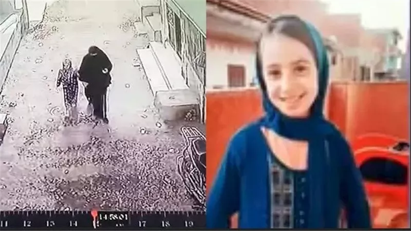 فضحتها الكاميرات.. سيدة تستدرج طفلة وتسرق حلقها الذهب في الشرقية