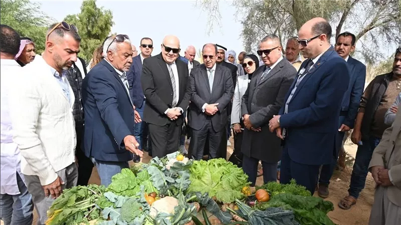 الجامعة البريطانية تدشن مشروعًا بحثيًا لتحويل المخلفات الزراعية لعلف حيواني بجنوب سيناء