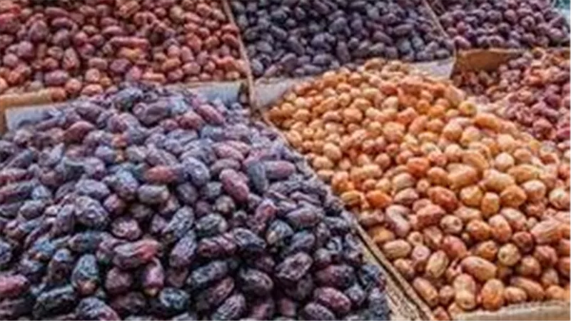 بعدما أثارت الجدل.. حقيقة استيراد مصر للتمور الإسرائيلية قبل رمضان