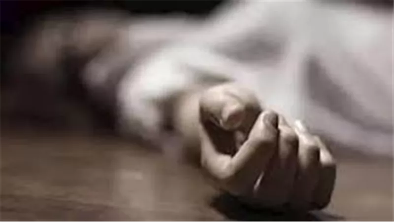  سرح الأطفال واستفرد بالأم.. حيثيات الحكم على عامل تخلص من زوجته بالجيزة