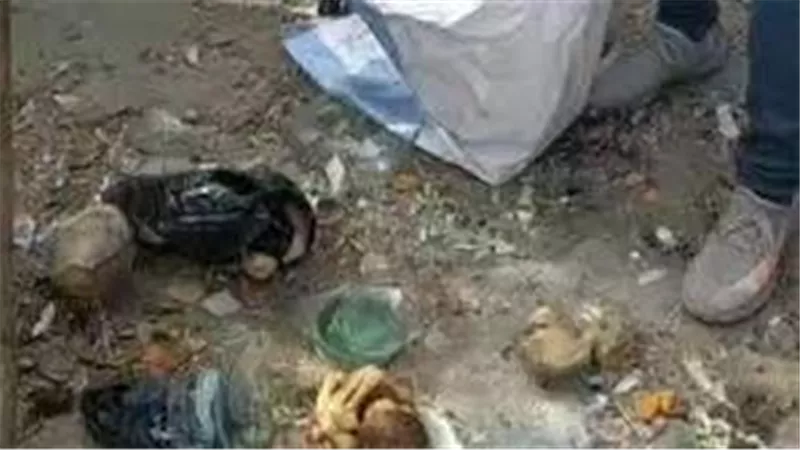 عيادة مغلقة وطبيب متوِفي.. التفاصيل الكاملة للعثور على جوال الأجنّة الغامضة بالمنيا