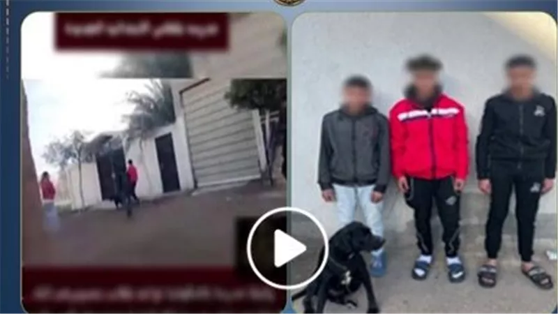 تفاصيل ضبط 3 طلاب بالدقهلية على خلفية فيديو المعلمة والكلب | شاهد