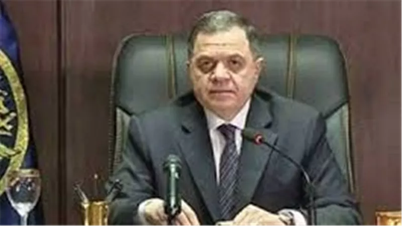تفاصيل إبعاد سوداني وصيني خارج مصر لأسباب أمنية