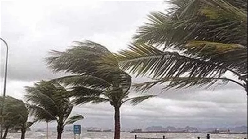 تقلبات جوية.. الأرصاد تحذر من حالة الطقس غدا الأربعاء 25-2-2026