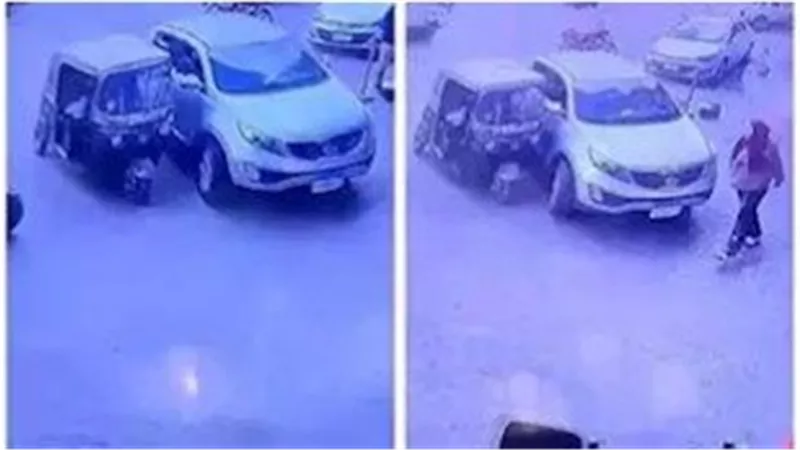 لقطات صادمة.. فيديو يوثق اعتداء فتاة بساطور على سائق توكتوك بالمنوفية | شاهد