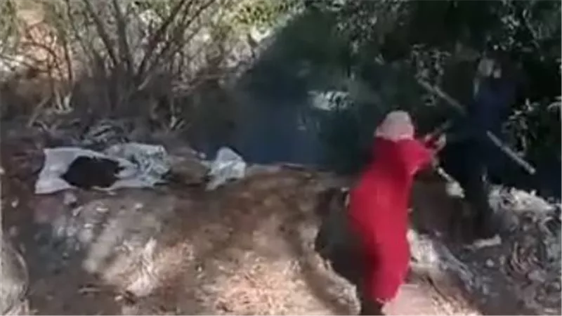 مفاجأة مثيرة في ضبط أطراف فيديو الاعتداء على سيدة وإلقائها بترعة بالبحيرة 