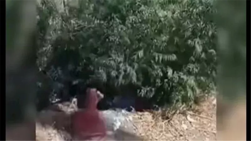 كنت متكتف على النخلة.. زوج السيدة المعتدى عليها بدمنهور يكشف تفاصيل صادمة