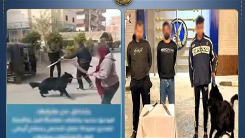 مشاجرة شغلت السوشيال.. التفاصيل الكاملة لخناقة الكلب والساطور بالمنوفية