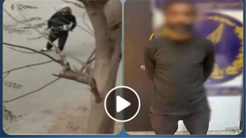 تفاصيل ضبط شخص ارتكب أفعال خادشة للحياء في الطريق العام بالقاهرة | فيديو